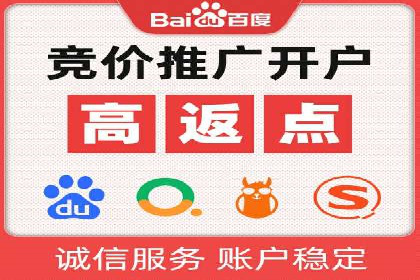 SEM代运营公司案例：优化策略揭秘